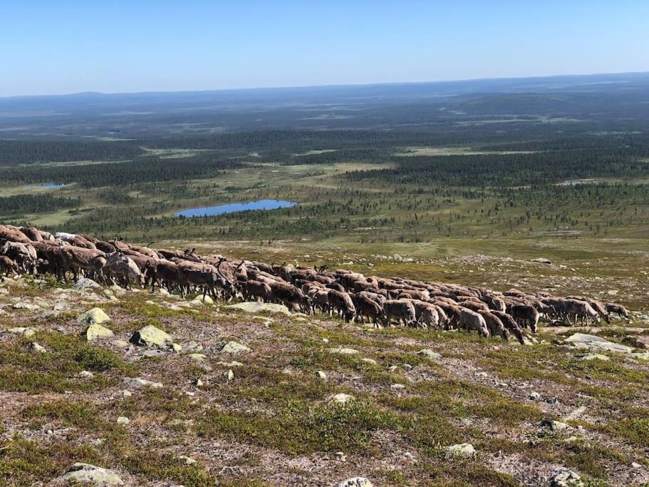 Villa Viihtyisae Moekki Riekkojen Mailla Hetassa à Enontekiö Extérieur photo
