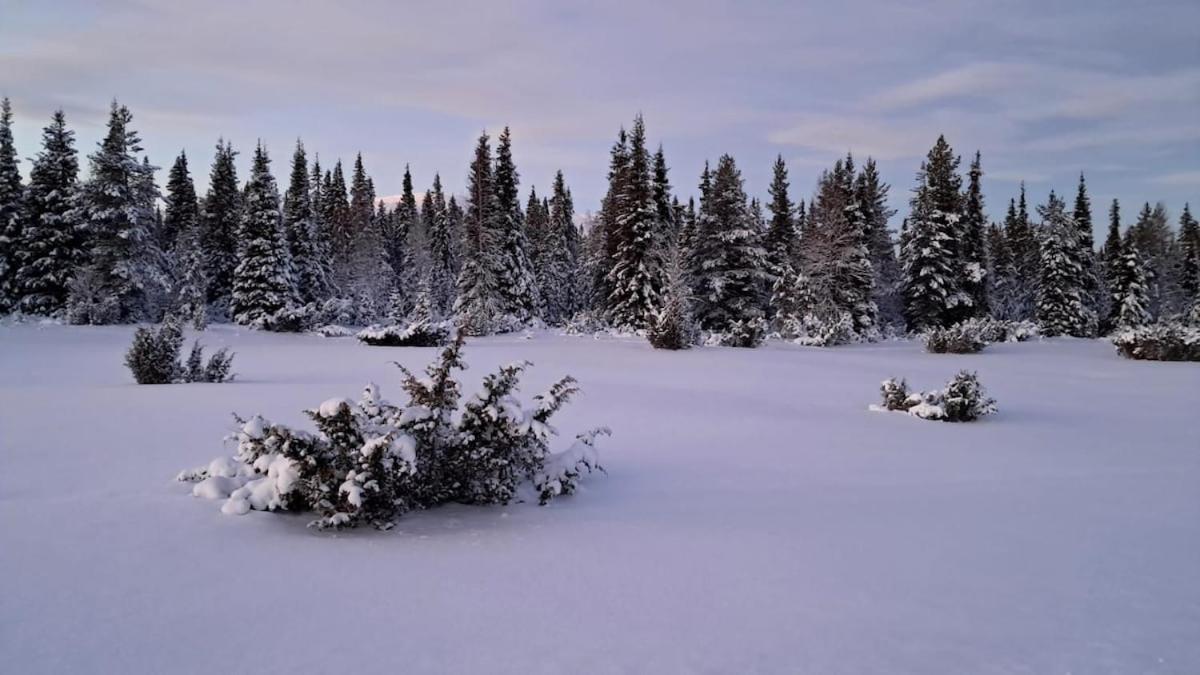 Villa Viihtyisae Moekki Riekkojen Mailla Hetassa à Enontekiö Extérieur photo
