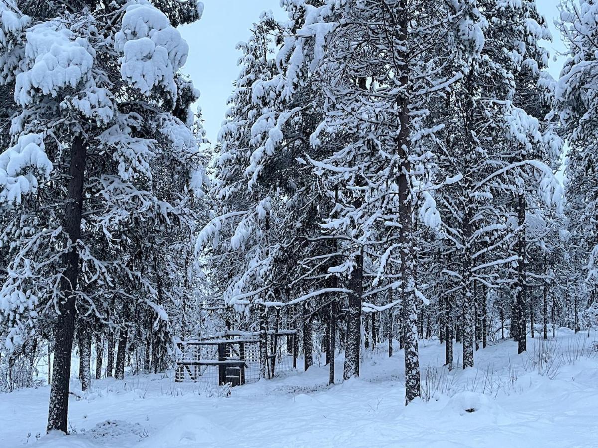 Villa Viihtyisae Moekki Riekkojen Mailla Hetassa à Enontekiö Extérieur photo